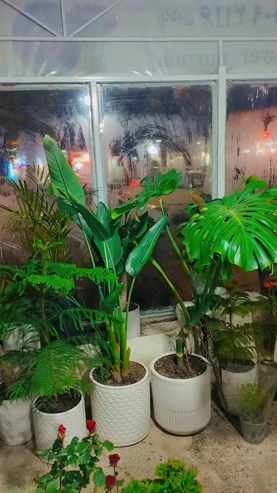 تصویر جلد آگهی